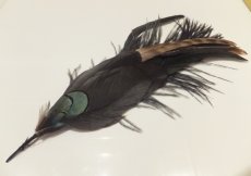 画像2: ナチュラルフェザーブローチ・Broche Plumas (2)