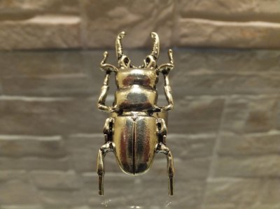 画像1: クワガタモチーフリング・Escarabajo
